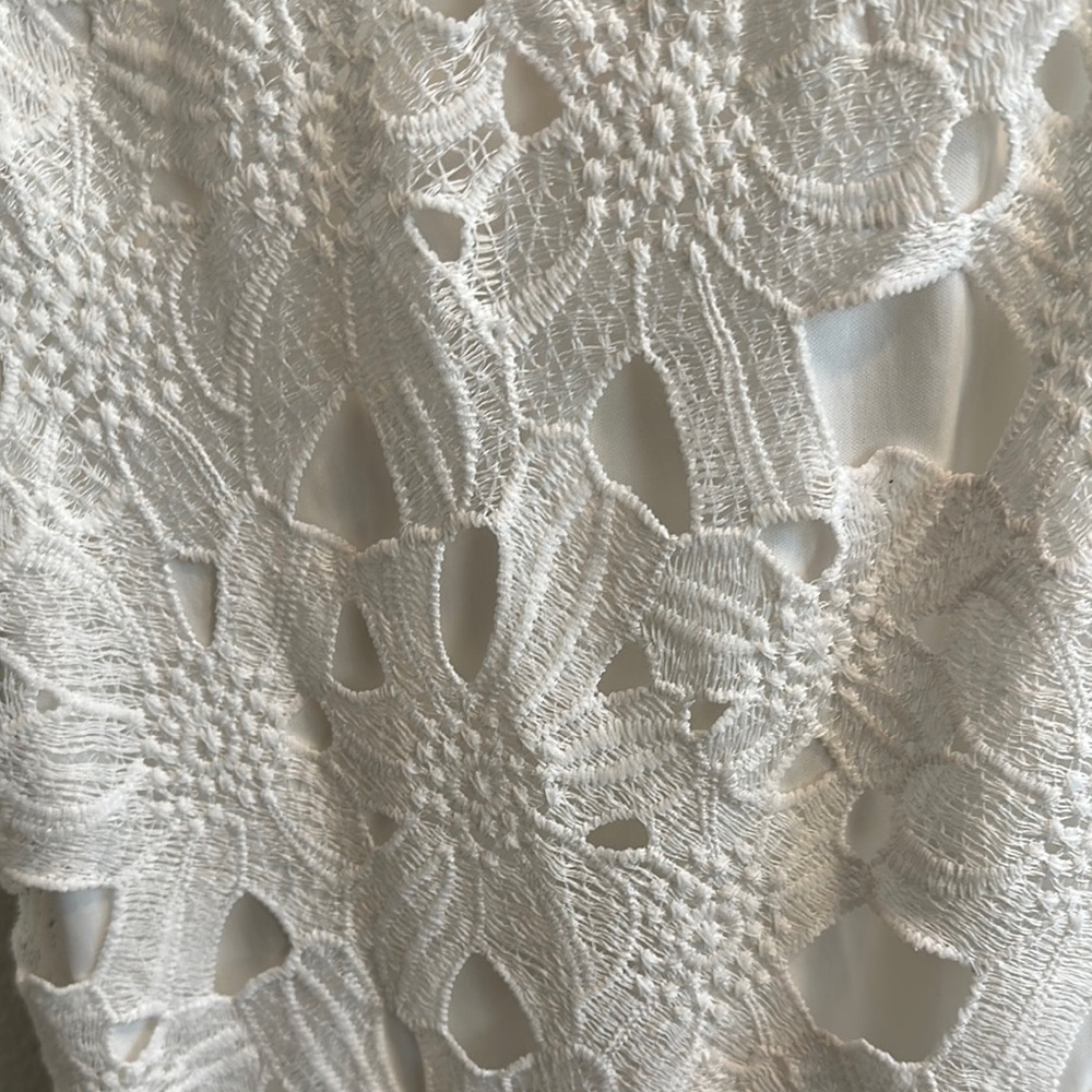 Elegant White Lace Mini Dress - Picture 4 of 7